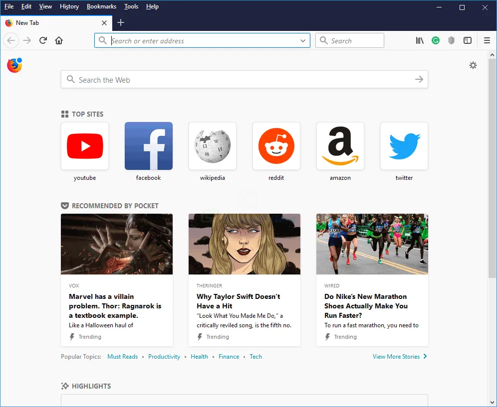 Firefox Browser Screenshot 1