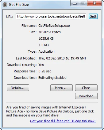 GetFileSize Screenshot 1