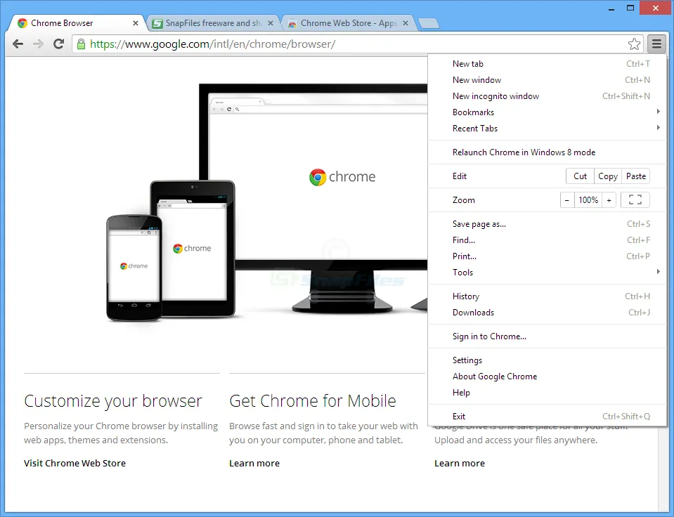 Google Chrome Screenshot 1