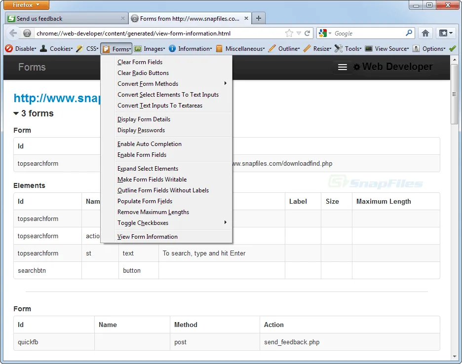 Web Developer Extension Screenshot 2