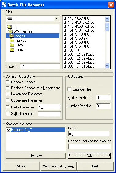 Batch File Renamer Screenshot 1