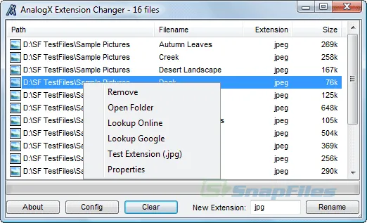 AnalogX Extension Changer Screenshot 2